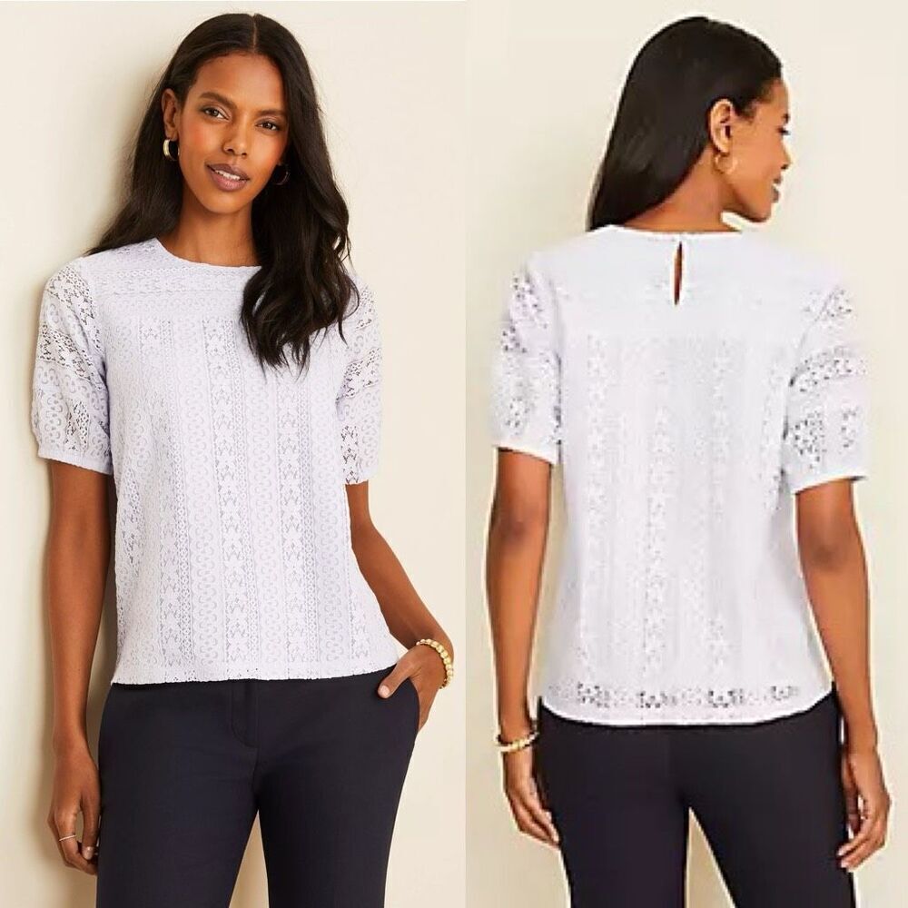 Ann Taylor Lilac Purple Lantern Lace Top Blouse Small